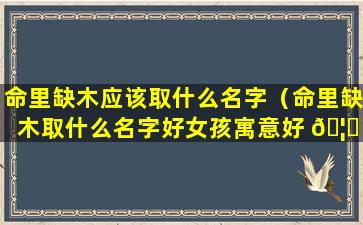 命里缺木应该取什么名字（命里缺木取什么名字好女孩寓意好 🦄 的）